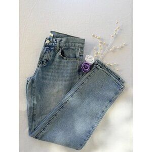 PacSun Womens Light Wash Low-Rise Straight Jeans With Button Fly Size 23